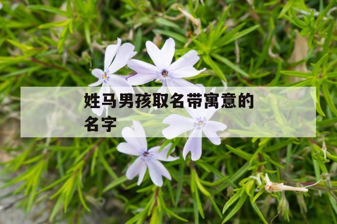 马姓双胞胎女孩子取名字