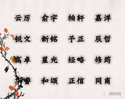 虎年杨氏宝宝取名字大全