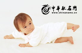 宝宝起名字免费