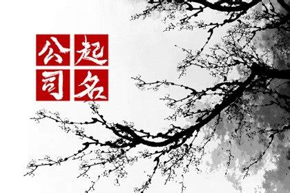 易经中的好公司名字