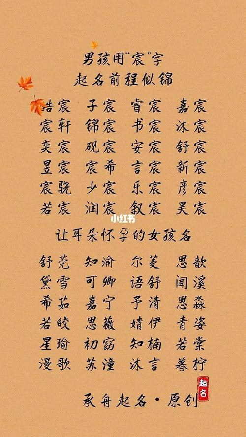 庄姓男孩起名95分以上