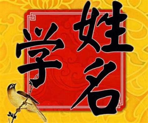 真正免费八字起名的软件