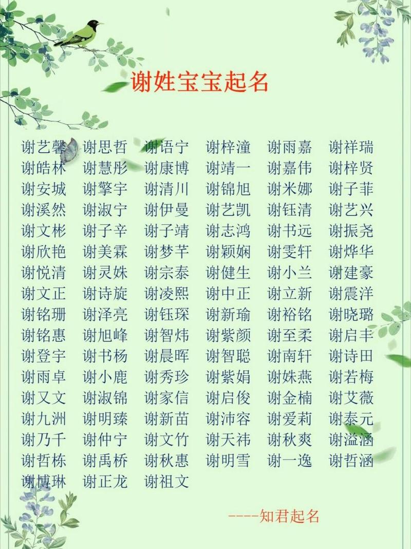 姓付的宝宝起名女孩