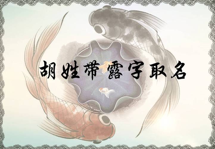 老公姓胡老婆姓李儿子怎么取名字