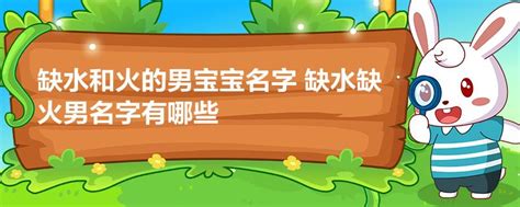 姓杨五行缺金男孩名字