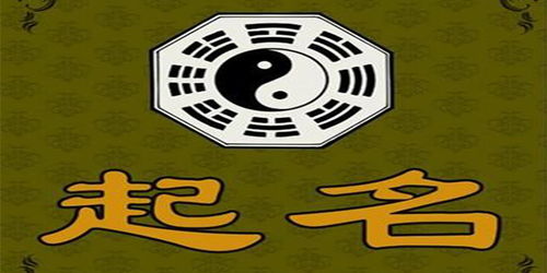 冷门水果图片
