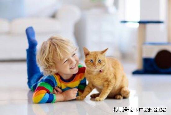 虎宝宝起名禁忌