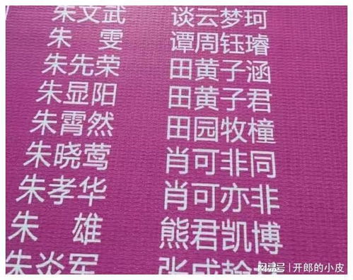 蔡姓男孩取名洋气的