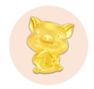 姓王猪年宝宝选名字