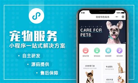 给宠物起名字取什么好