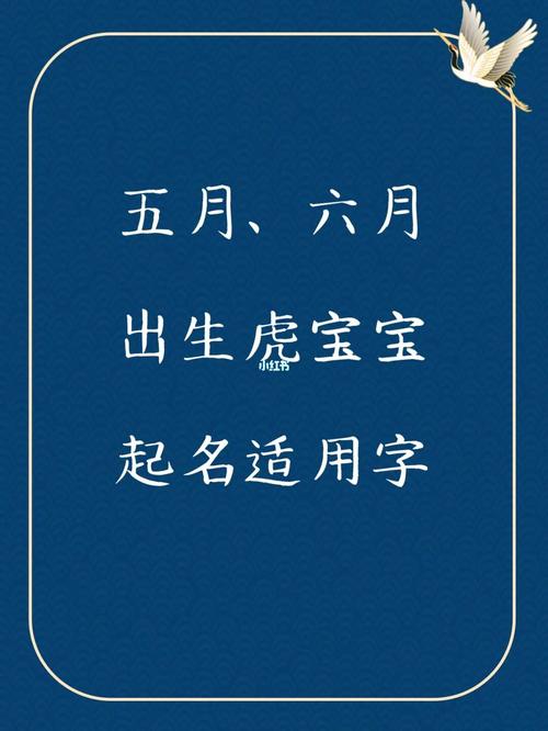 兔宝宝六月出生起什么名字