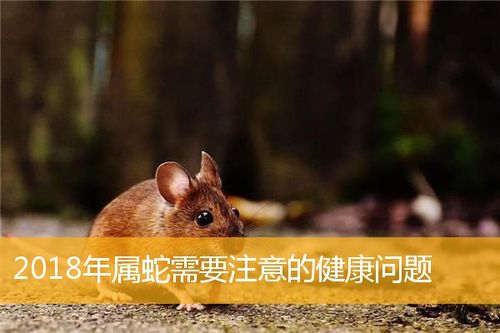 2024年财富大爆发的生肖，健康问题警示