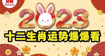 2023年生肖运势全面解析提前洞察你的未来