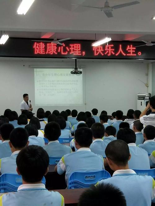 背景与原因