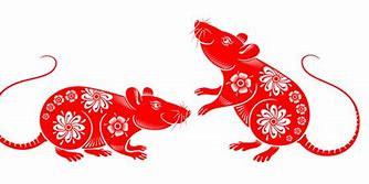 生肖鼠可爱图片