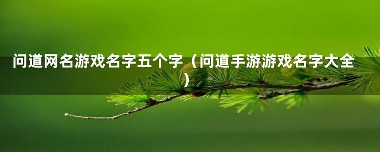 探究名字起名的文化历史背景与演变