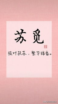 邦取名字大全男孩名字