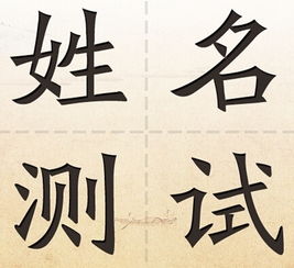 木字旁的文字