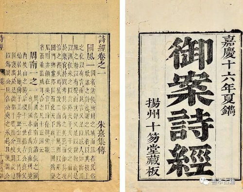 籽月简介