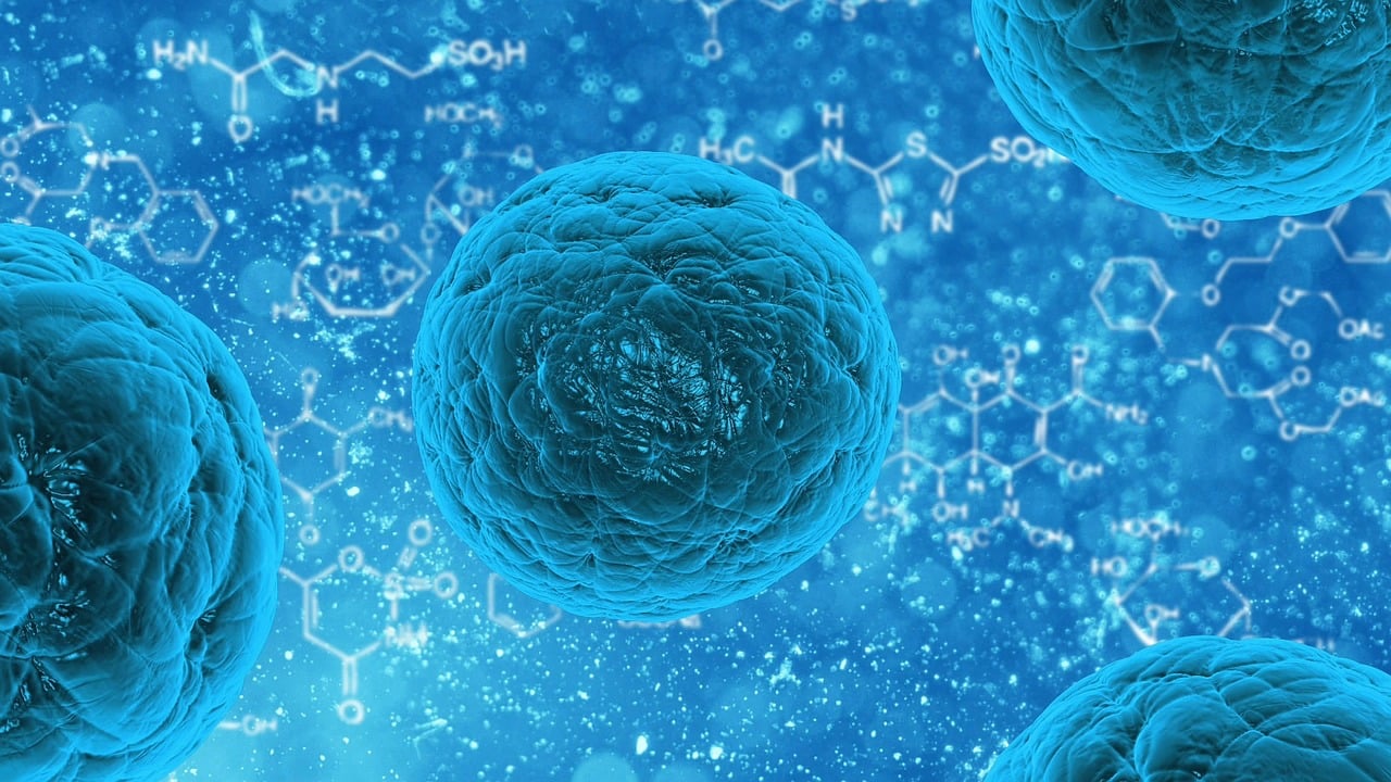 探索人生密码，周易起名测试打分的艺术与科学