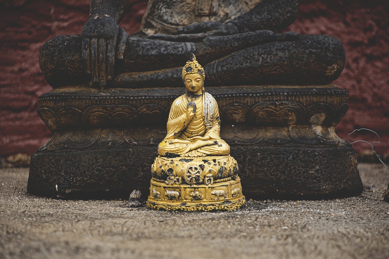 文化艺术的百科全书，探索人类文明的瑰宝