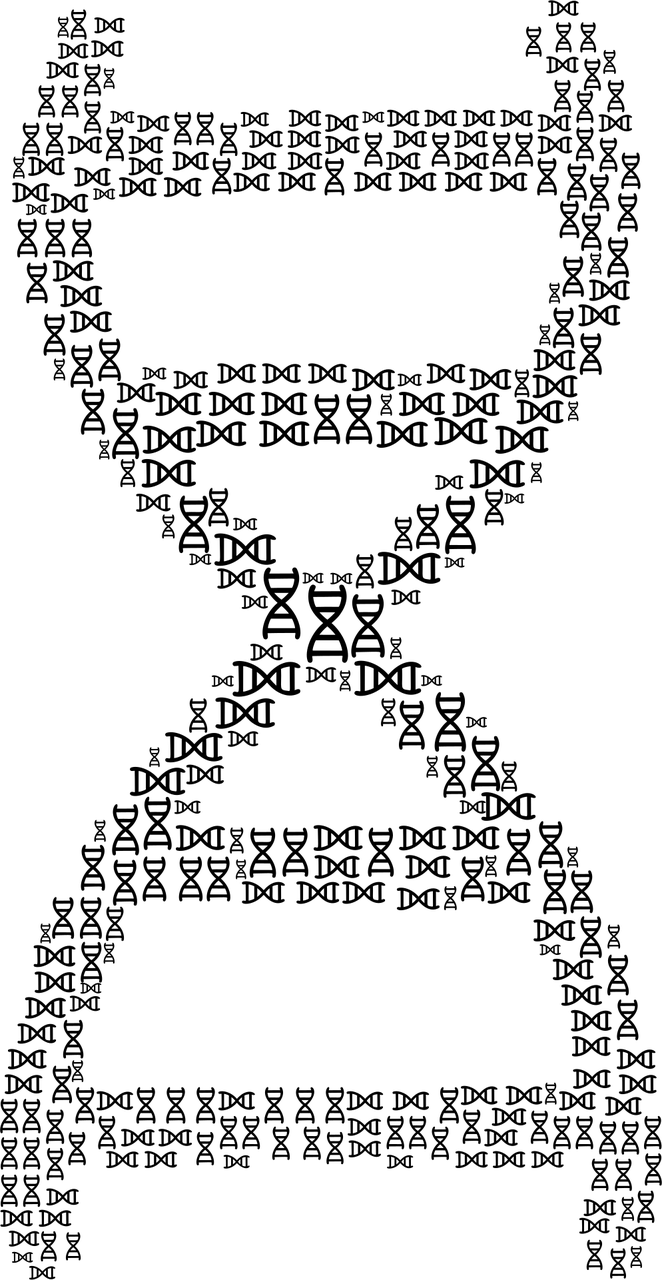 探索姓名的奥秘，免费姓名测试打分的科学与艺术